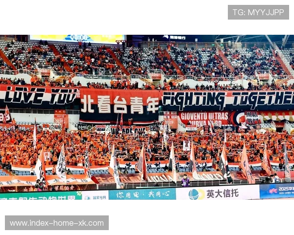 山东泰山3-0赢球,全队状态重生,开启新赛季辉煌篇章