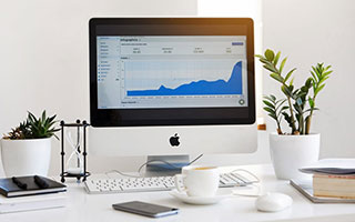 NBA的“绿色行动”故事：环保背后的动人细节，绿色环保行动有哪些具体内容